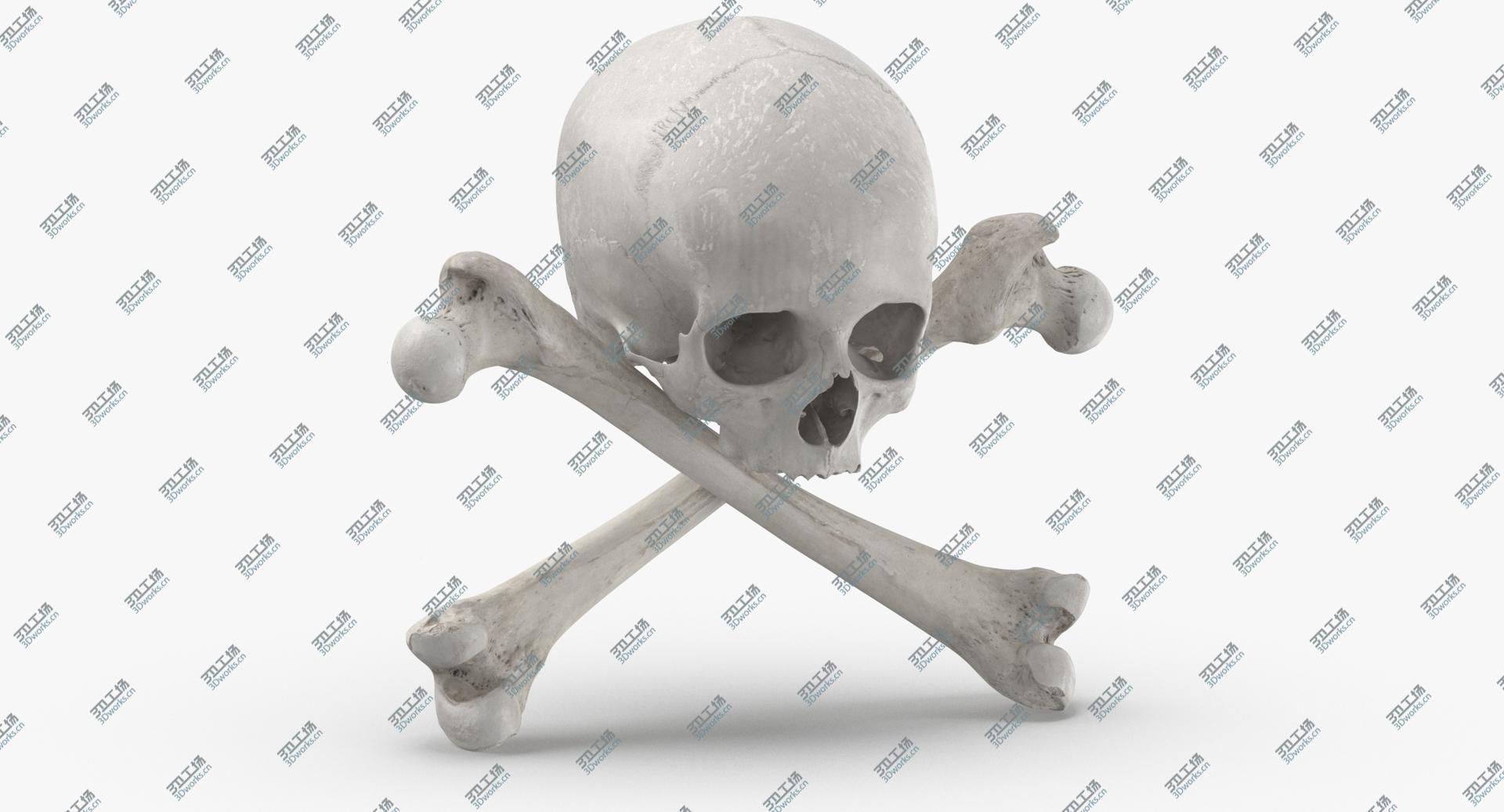 images/goods_img/202104091/Pirate Skull and Bones Composition 02 White 3D/3.jpg